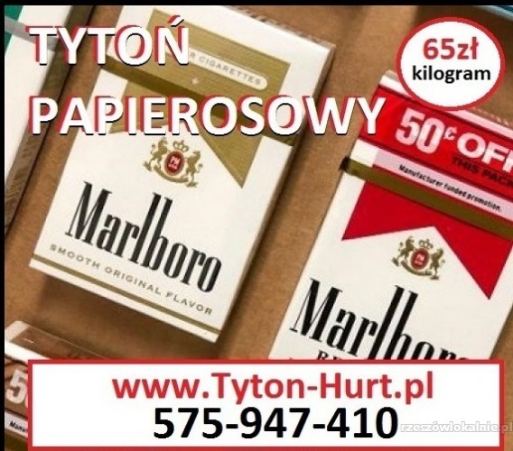 Tani tytoń 65zl/kg - wysylka 24h bez kołków tel. 575 947 410