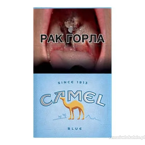 papierosy-camel-sklep-z-papierosami-papierosekcom-79932-sprzedam.webp