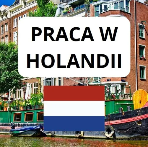 Zarabiaj w EURO - pracuj w Holandii !