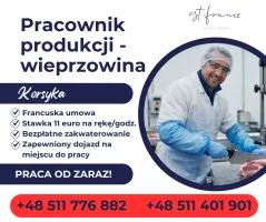 Praca na słonecznej Korsyce!